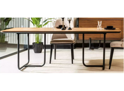 Möbel Esszimmer Tische 220x100 cm Esstisch Luxus Tisch Holz Esstische