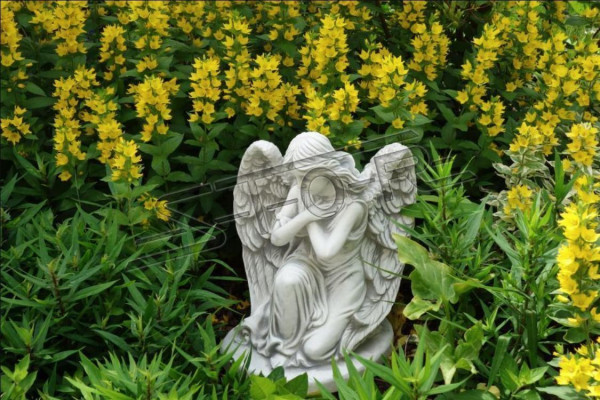 Grabschmuck Grab Stein Dekoration Engel Figur Skulptur Gott Heilig 36cm Sofort