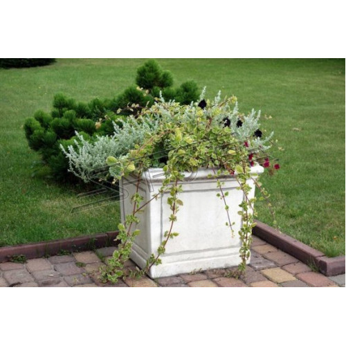 Blumenkübel Pflanz Kübel Dekoration Figur Vasen Garten Natur Blumentöpfe