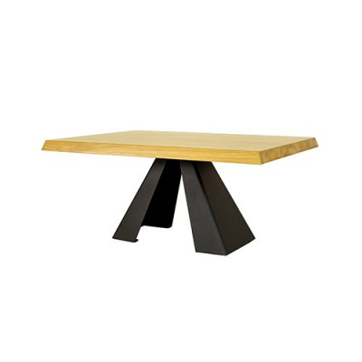 Couchtisch Sofa Tische Sofa Beistell Tisch Echtes Holz Massive Möbel 100x60cm