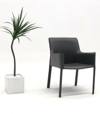 Design Lehn Stühle Polster Ess Zimmer Club Küche Lounge Wohn Möbel Stuhl Sessel