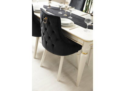 Moderner schwarzer Stuhl Design Holzstuhl Esszimmerstuhl Luxus Holz Möbel