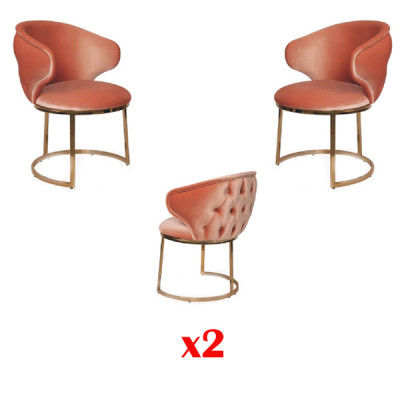 Gruppe 2x Stühle Neu Esszimmer Garnitur Polster Neu Design Sessel Set