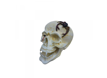 Schädel Kopf Skorpion Figur Statue Skulptur 44 cm Figuren Statuen Skulpturen N87