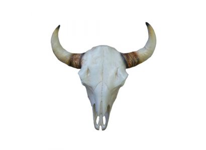 Bullenschädel Stierkopf Wand Skulpturen Höhe 64 cm Deko Figur Skelett Schädel