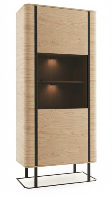 Vitrine Aktenschrank Schrank Vitrinen Büro Wohnzimmer Hochschrank