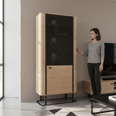 Vitrine Aktenschrank Schrank Vitrinen Büro Hochschrank Wohnzimmer Regal