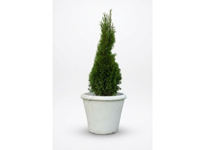 Blumenkübel Pflanz Kübel Dekoration Figur Vasen Garten Blumentöpfe Natur