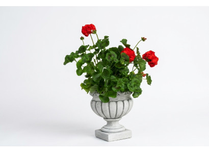Design Blumentopf Top Planz Dekorative Kübel Gefäß Töpfe Figur Gesicht