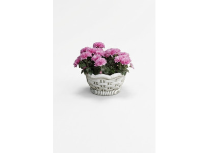 Blumentöpfe Kasten Topf Blumen Töpfe XXL Garten Beton Dekorative Terrasse