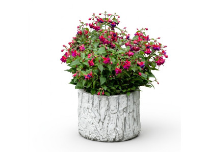 Blumenkübel Pflanz Kübel Natur Dekoration Vasen Garten Figur Blumentöpfe