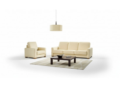 Zweisitzer Couch Klassische Ledersofa Couch Polster Sofa 2 Sitzer Leder