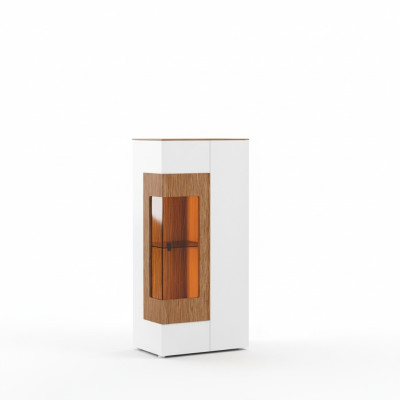 Moderne Vitrine Glas Schrank Wohnzimmer Schaufenster 1türige Design Vitrinen neu
