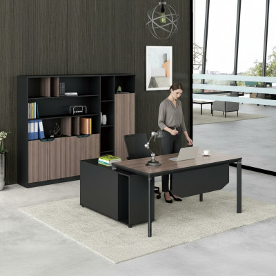 Aktenschrank Bücherregal Regale Schrank Luxus Deko Büro Möbel Schränke