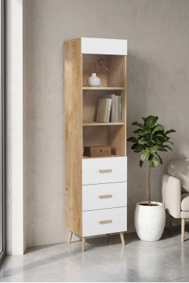 Bücherregal Vitrine Vitrinenschrank Glasschrank Regal Holz Schrank Bücherschrank
