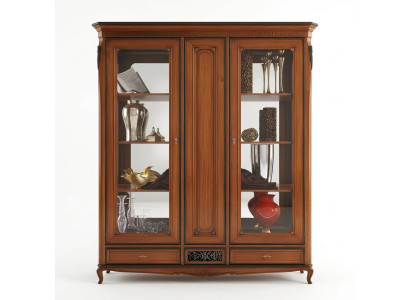 Vitrine Regal Bücherschrank Wohnwand Schrank Möbel Regale Schränke Wand Möbel