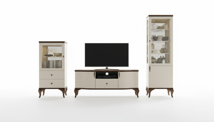 Klassische Wohn Deko Wand Wohnzimmer Vitrine Sideboard RTV Regal Wände