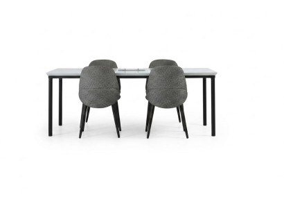 Gruppe Esszimmer Esstisch Stühle Tisch Holz Set 5tlg Grau Design Set