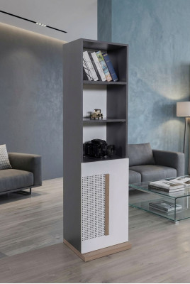 Schrank Holz Bücherschrank Jugendzimmer Grau Schränke Regal Möbel Neu