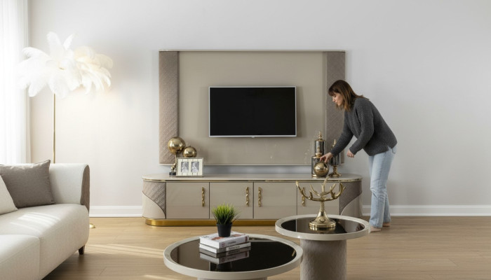 Modern TV-Lowboard Luxus TV-Schrank Stilvoll RTV Wohnzimmer TV-Kommode NEU