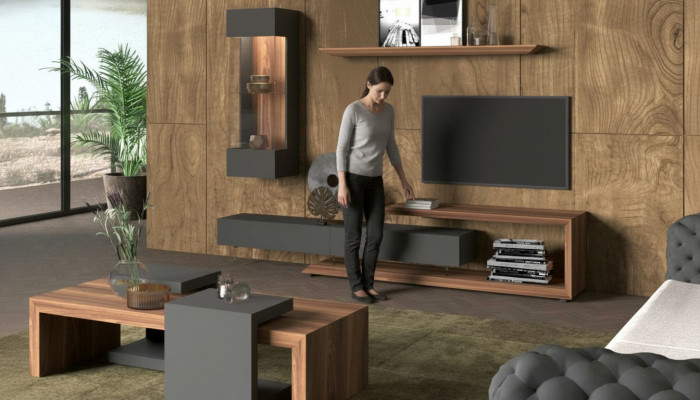Wandschrank Wandpaneel Seitenschrank Walnuss natur - Anthrazit matt