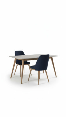 Blauer Esszimmerstuhl Luxus Moderne Küchenmöbel Designer Holzmöbel