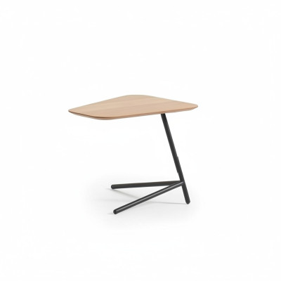 Luxus Wohnzimmer Beistelltisch Modern Möbel Material Holz mit Metall