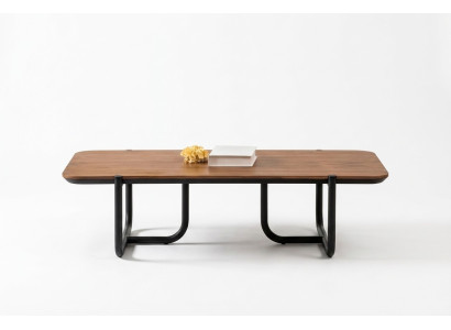 Couchtisch Wohnzimmer Design Tisch Couchtische Möbel Braun Tische Holz