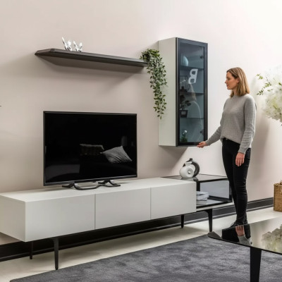 Ein unvergleichlicher TV-Schrank und Regale im minimalistischen Stil