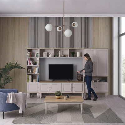 Wohnwand Wohnzimmerwand TV Ständer Holz RTV Lowboard Grau Regale Set