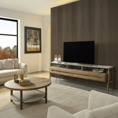 RTV Lowboard TV Ständer Wohnwand Sideboard Schrank Holz Braun Stilvoll