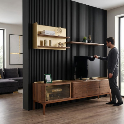 Sideboard Regale RTV Lowboard TV Ständer Schrank Holz Braun Set