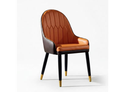 Braun-Orange Esszimmerstühle Designer Holzstühle Moderner Lehnstuhl