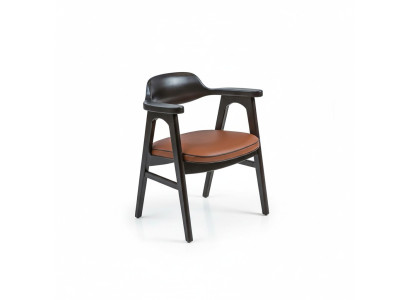 Esszimmer Stuhl mit Armlehnen Schwarz Holzstuhl Neu Möbel Design Sitz