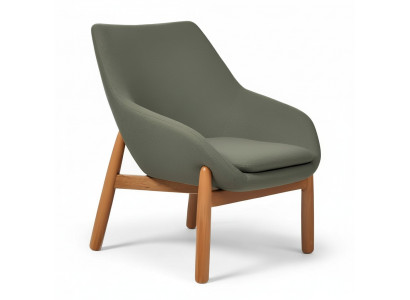 Grüner Esszimmerstuhl Wohnzimmer Stühle Designer Einsitzer Holzfüße