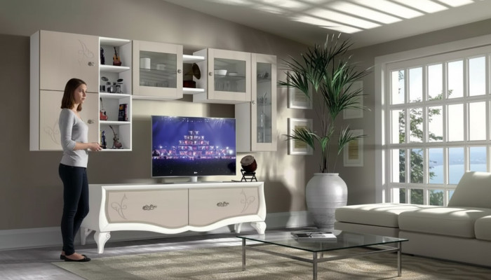 Wohnwand Wohnzimmer Luxus Set Vitrine Lowboard Wandregal TV 5 tlg. Neu