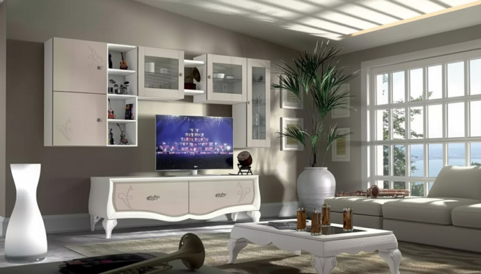 Wohnwand Wohnzimmer Luxus Set Vitrine Lowboard Wandregal TV 5 tlg. Neu