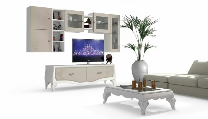 Wohnwand Wohnzimmer Luxus Set Vitrine Lowboard Wandregal TV 5 tlg. Neu