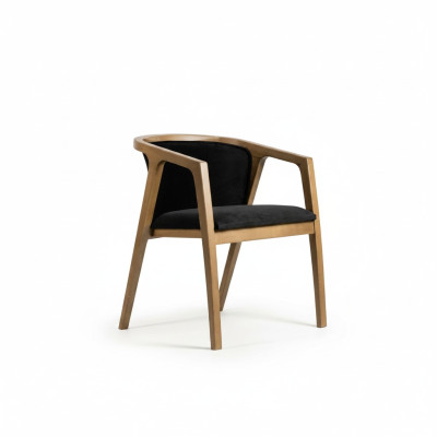 Esszimmer Stuhl Modern Holz Möbel Stühle Luxus Design Einrichtung Neu