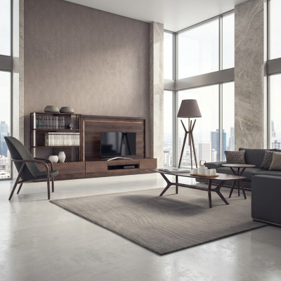 Luxus Wohnzimmer Wohnwand TV-Ständer Holzmöbel Bücherregale Neu TV Rahmen