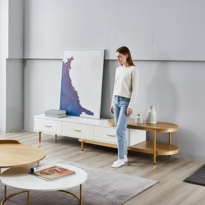 rtv Lowboard Schubladen Regale Kommode Tisch Wohnzimmer Holz Design