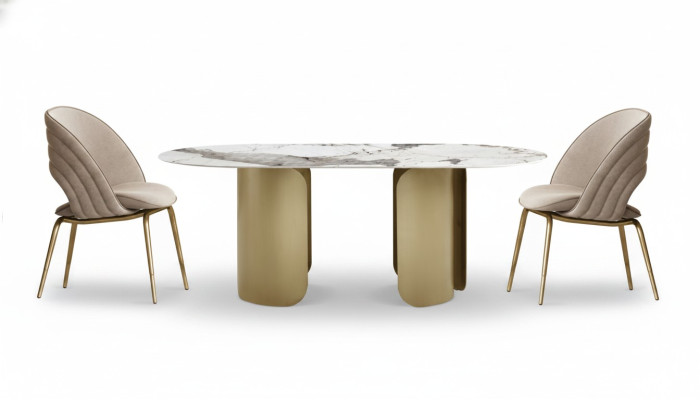 Exclusive Esszimmer Set Besteht aus 5tlg. Esstisch + 4x Stühle Luxus Komplett