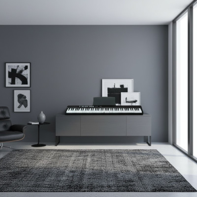 Přenosné elektronické piano s 88 klávesami: Bluetooth, připojení k aplikaci a mikrofonní vstup