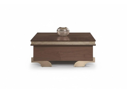 Brauner Couchtisch Modern Luxury Stil Holzrahmen Goldenen Akzenten