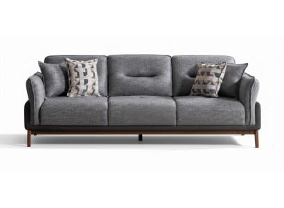 3-Sitzer-Sofa Dunkelgrau Moderner Stil Holzrahmen Weiche Armlehnen