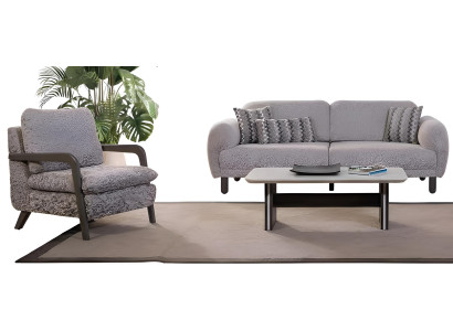 Modernes Sofa-Set  Holzrahmen Graue Farbe Hochwertige Materialien