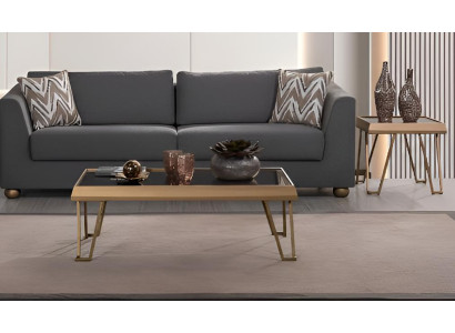 Modernes Sofa-Set Holzrahmen Glatte Ecken Minimalistischer Stil