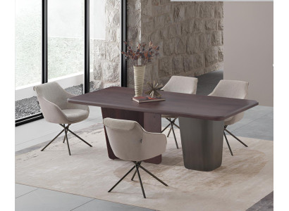 Moderner Esstisch Mit 4 Stühlen Elegant Stilvoll Design 200 x 100 x 76 cm