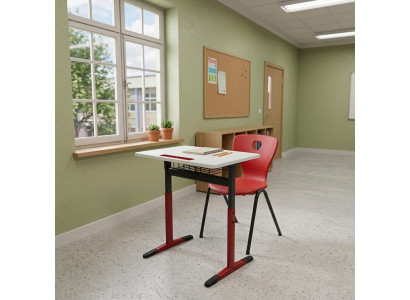 Grau-Roter Schulset Ergonomischer Schultisch Designer Einzelstuhl