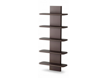 Modernes Regal Dunkelbraun Design Wandregal Exklusiv Wohnwand